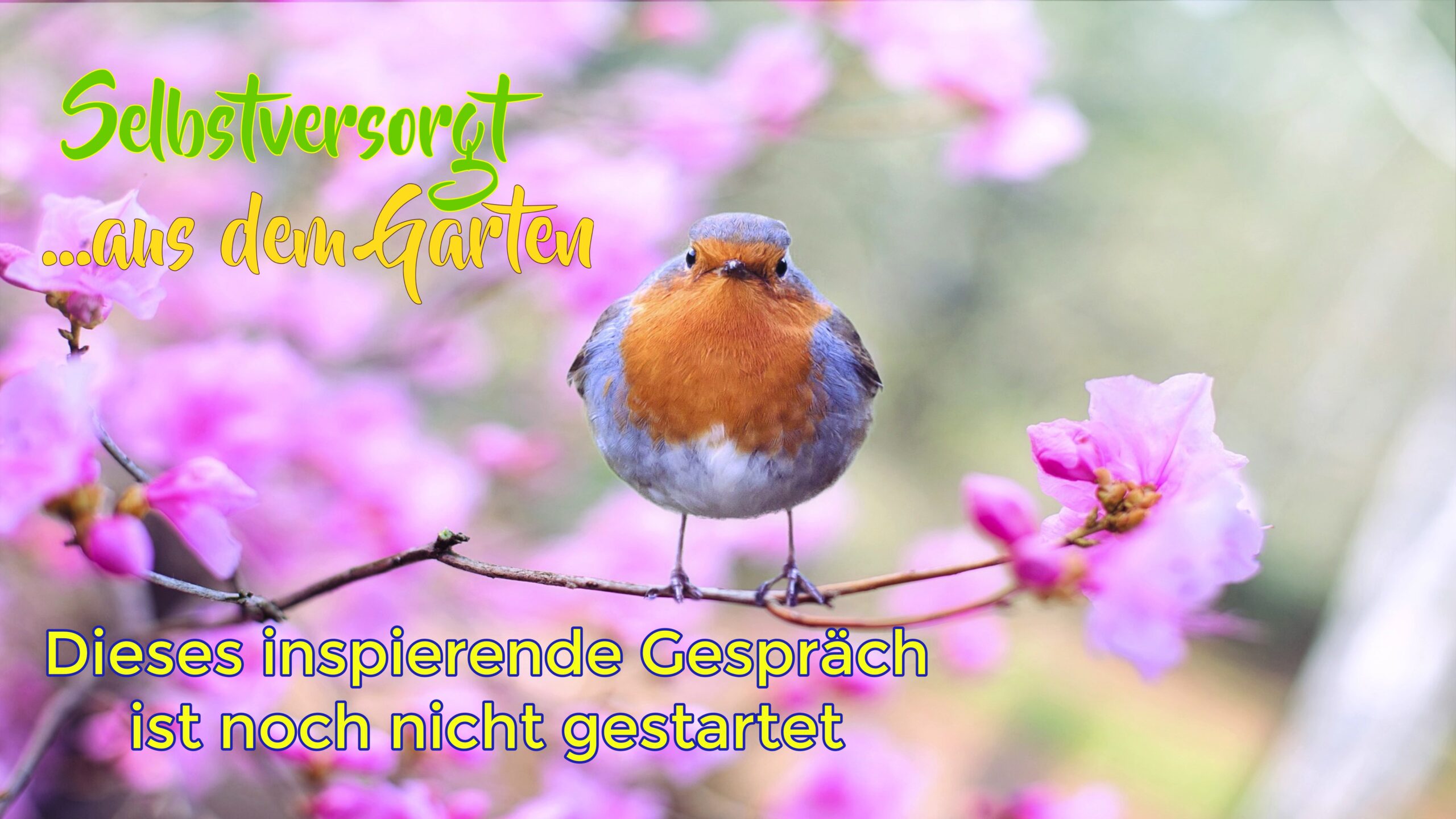 Veranstaltung